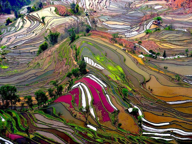 nationalgeographic.com