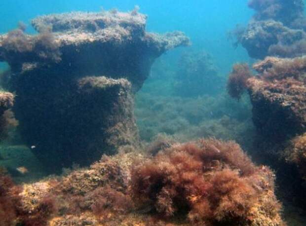 ПРАВДА О ЧЁРНОМ МОРЕ ПРАВДА О ЧЁРНОМ МОРЕ