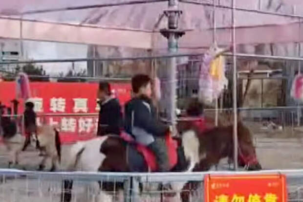 SCMP: в Китае парк аттракционов раскритиковали за карусель с живыми лошадьми