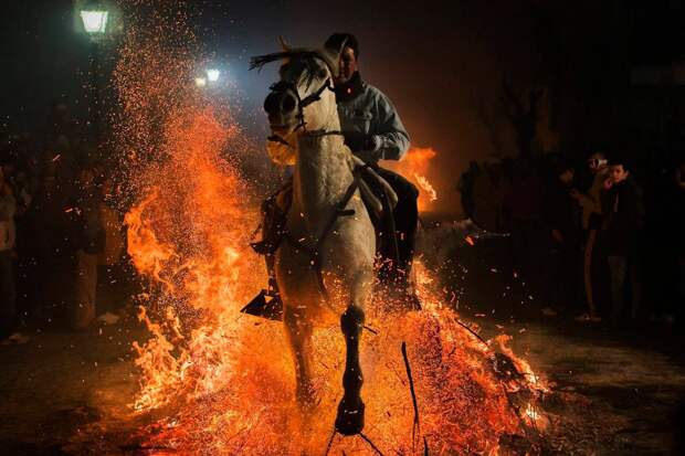 Luminarias - испанский фестиваль огня и животных-3