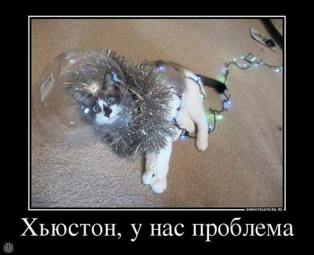 Не жадничай! 2