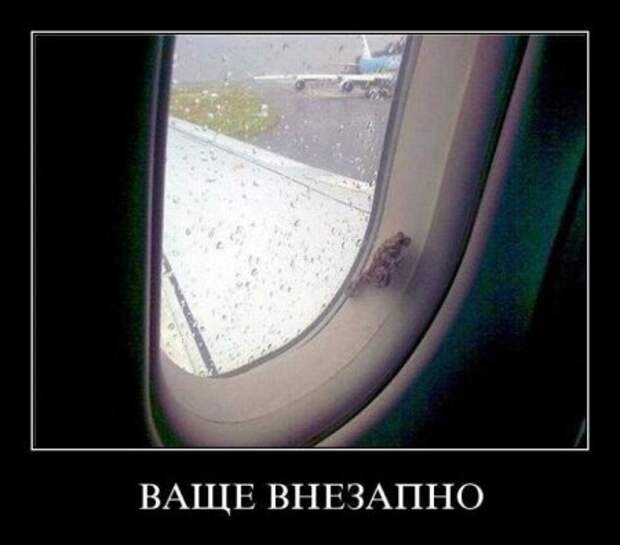 Новенькие смешные демотиваторы.