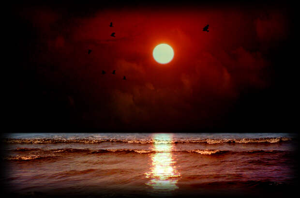 http://www.lensart.ru/picturecontent-pid-d42e-et-4ed9686