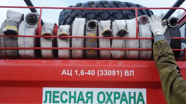 В России за сутки потушили десять лесных пожаров