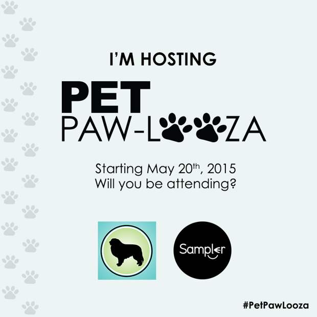 PetPawLooza_Attending_ItsDogOrNothing