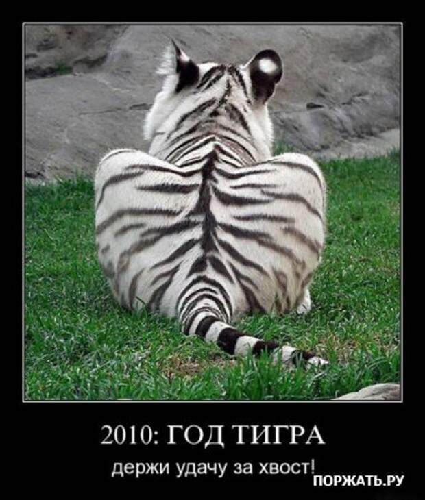 Масса демотиваторов.