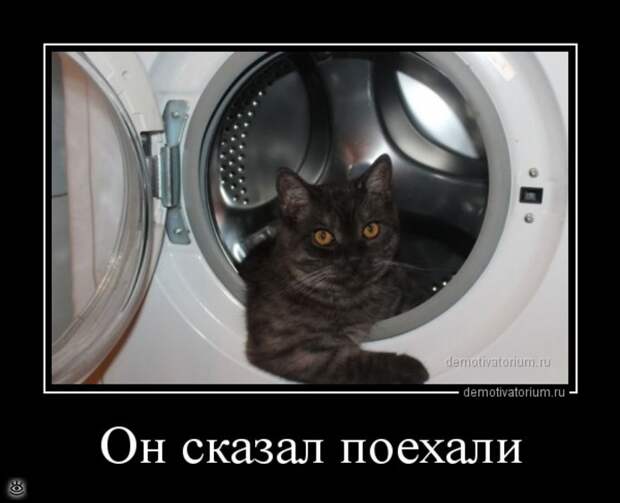 Пусть жизнь научит! 24