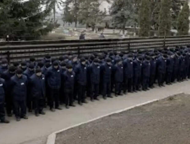 Возвращены 115 российских военнослужащих, попавших в плен в Курской области