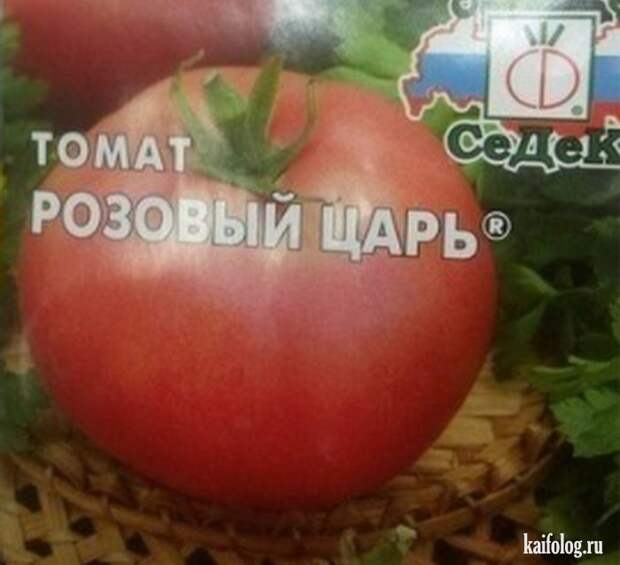 Прикольные семена (35 фото)