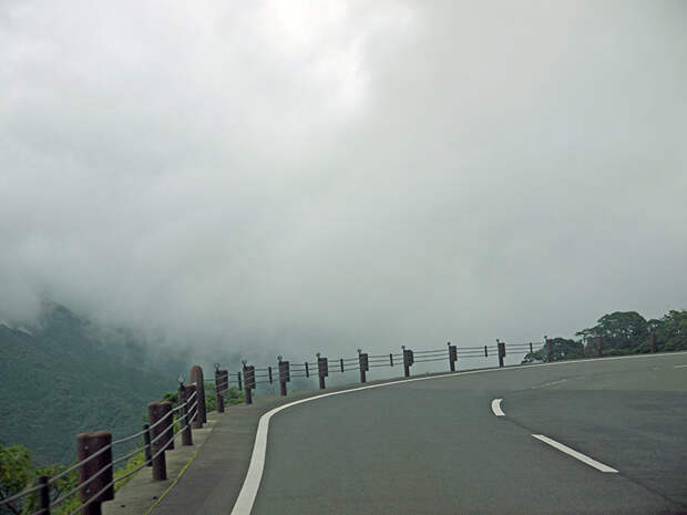 Япония, Якусима, остров, якушима, yakushima, японские макаки, обезьяны, дорога, серпантин, туман, япония