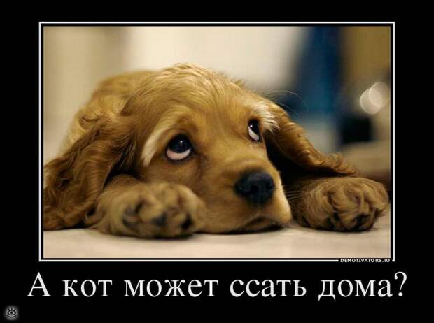 Нет денег - будь здоров! 27