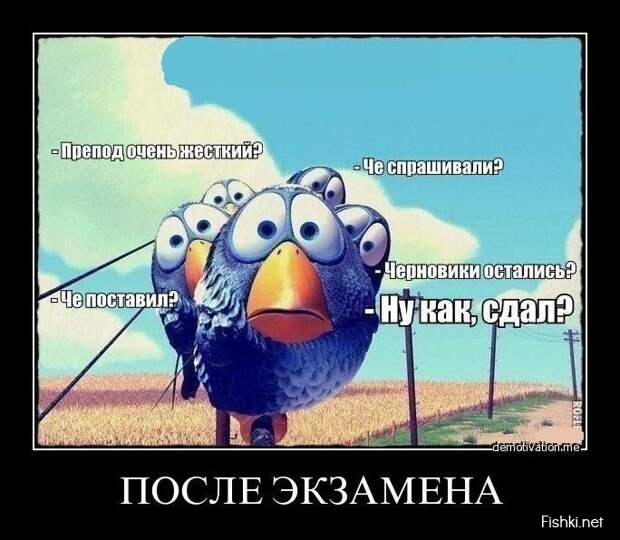 Сборник моих демотиваторов демотиватор, сборник