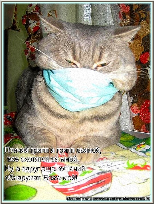 ПРЕДОСТЕРЕГАЮ  ОТ  ПРОСТУДЫ  В  ЖАРУ!!!...   ;)