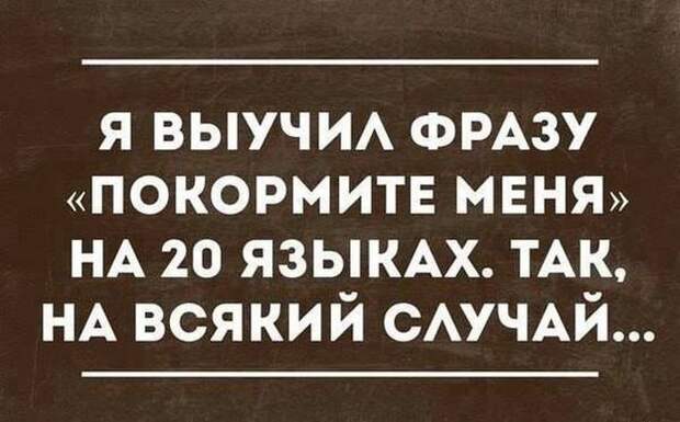Прикольные картинки (95 фото)