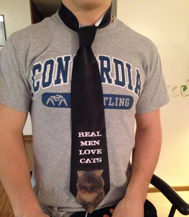 17. Настоящие мужчины любят котиков и ненавидят идиотские галстуки. галстуки, странные люди