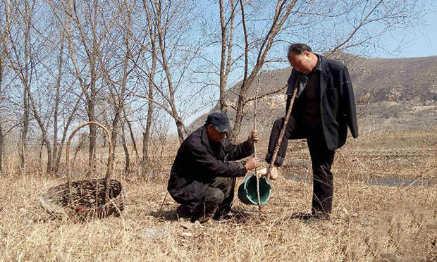 blind-man-amputee-plant-trees-china-5