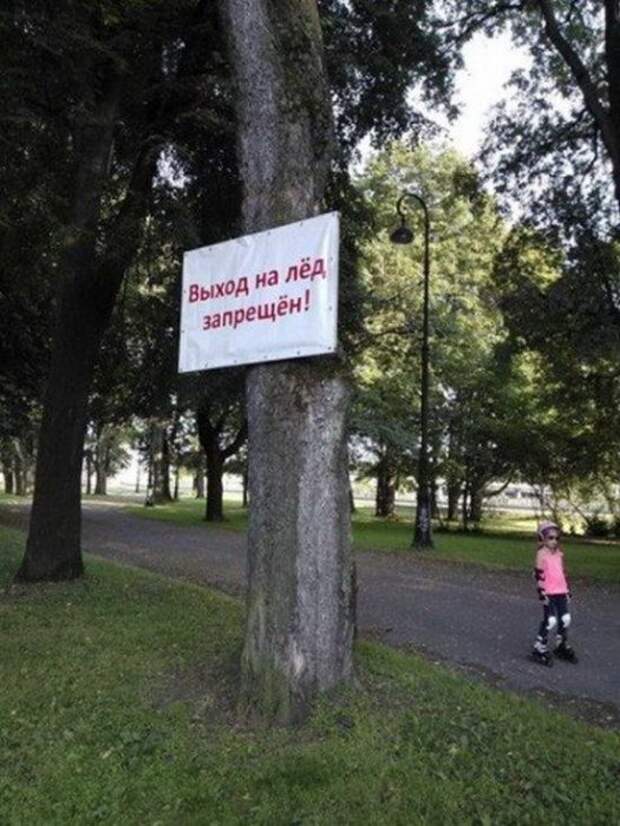 Приколы в картинках