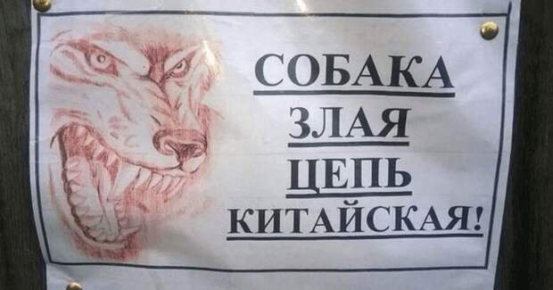 30 объявлений, мимо которых невозможно пройти. 