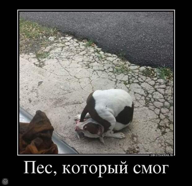 Настраивайся на положительные эмоции! 10