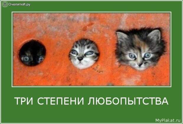Будь осторожнее 4