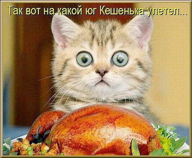ТАК  ВОТ  НА  КАКОЙ  ЮГ  КЕШЕНЬКА  УЛЕТЕЛ...