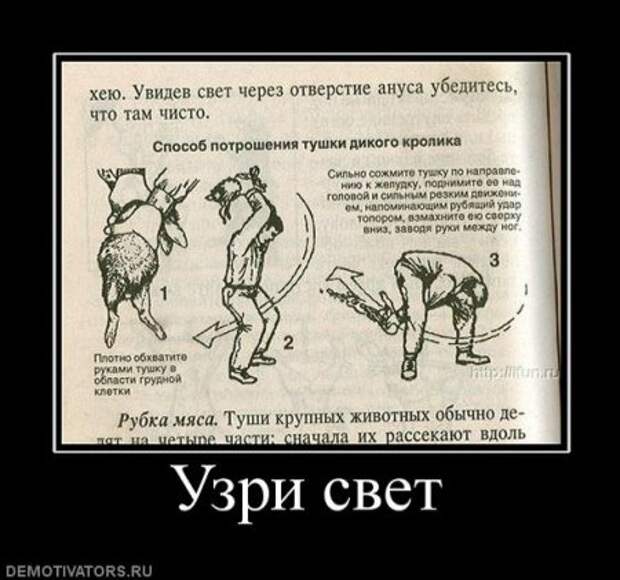 Прикольные демотиваторы только для Вас!