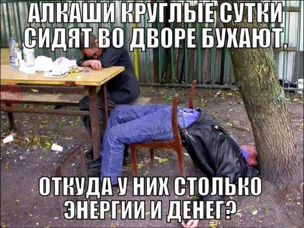 Фразы в картинках. Классные приколы!