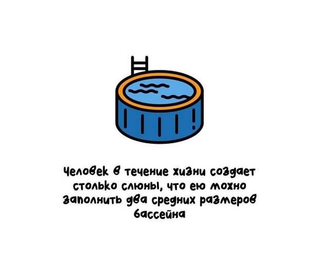 Разные интересные факты на все случаи жизни