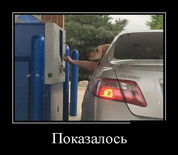 Демотиваторы (30 фото)
