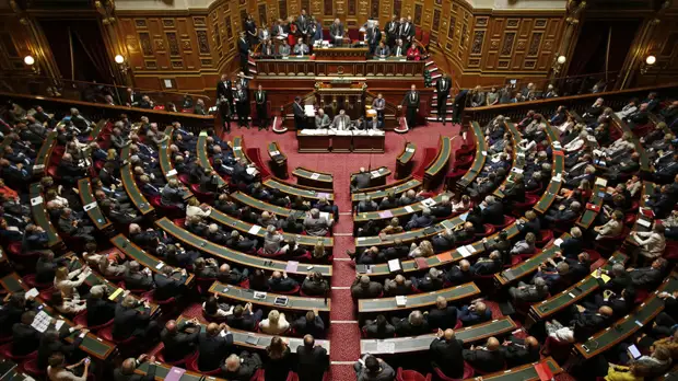 Делегация сената Франции может приехать в Россию в апреле