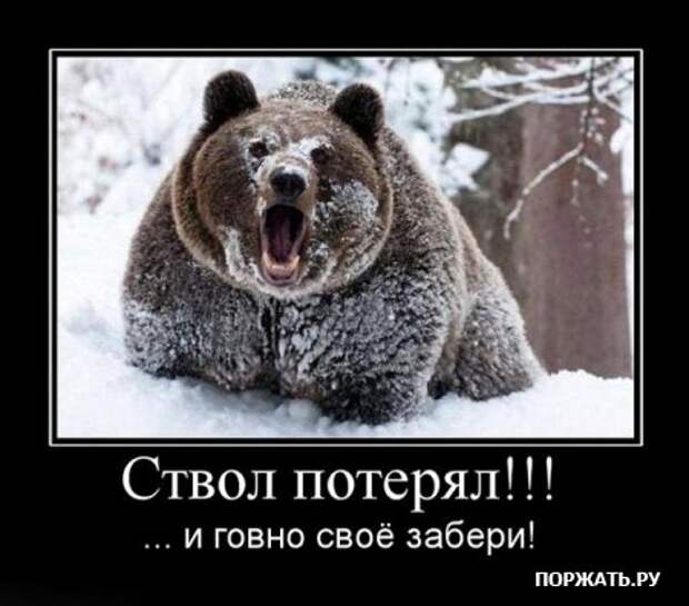 Прикольные демотиваторы, в подборке много новых.
