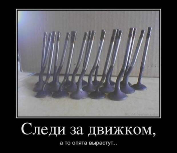 АВТОприкольные картинки для настроения (24 шт)