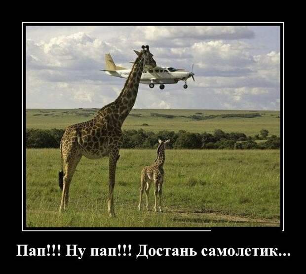 Демотиваторы №1095 (30 фото) Демотиваторы №1095 (30 фото)