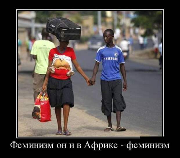 Подборка  демотиваторов демотиваторы, юмор