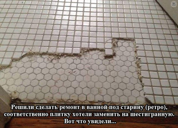 Забавности и оригинальности 7