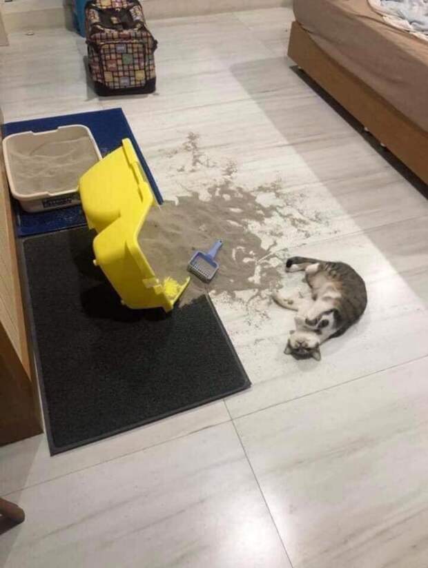 Неприятности случаются