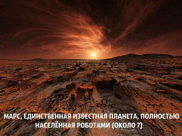 Юмор в фотографиях Юмор в фотографиях