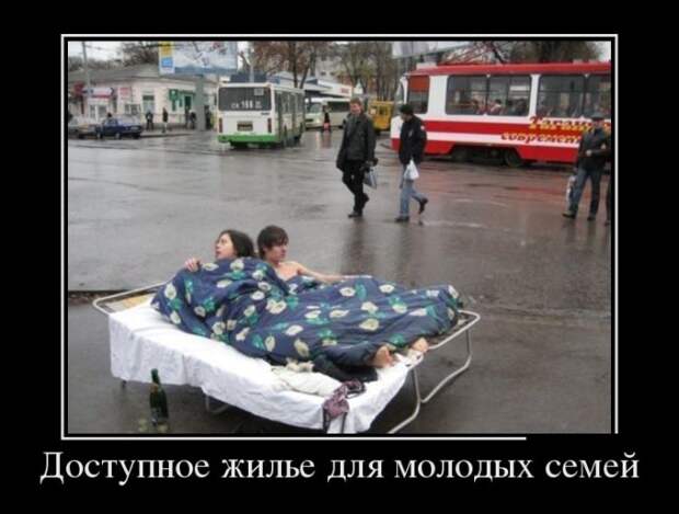 Демотиваторы бревно, демотиваторы, юмор
