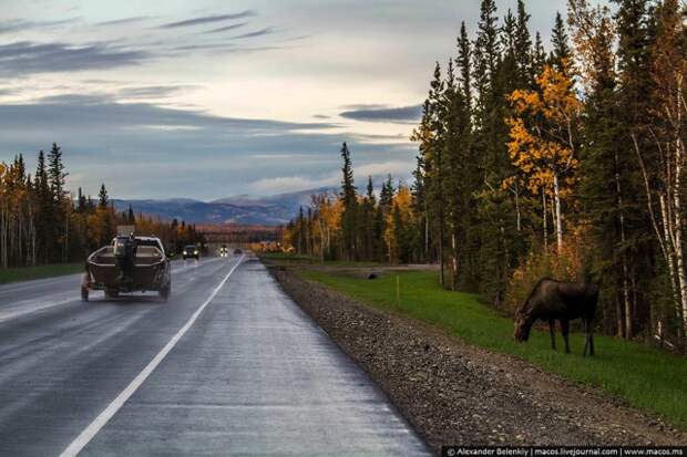 LR2015.09-US-AlaskaReasons-6