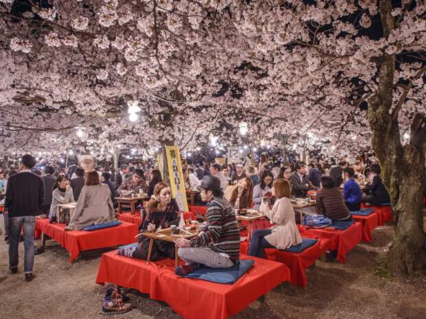 why-kyoto-was-chosen-as-the-best-city-in-the-world-23-photo-proofs-artnaz-com-8