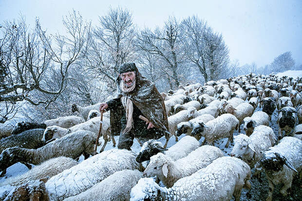 sony-world-photography-awards-2015-shortlist-2