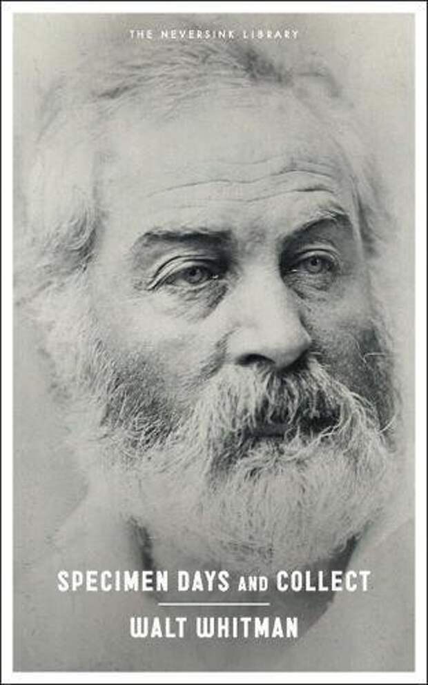 Walt Whitman on the “Meaning” of Art and How to Best Access the Poetic
