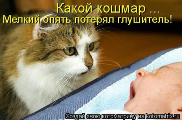 Котоматрицы (картинки с надписями)