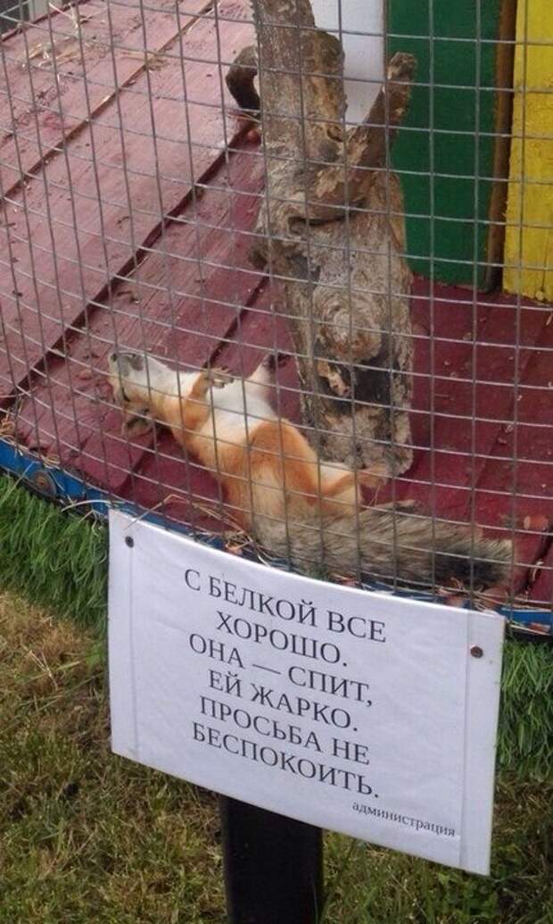 объявления