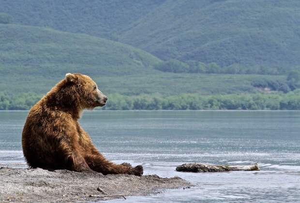 Лучшие фотографии от National Geographic октябре 2015