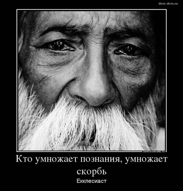 30 демотиваторов дня от 25-12-2013