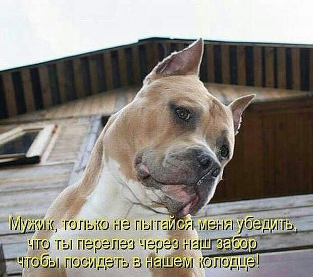 image (543x480, 216Kb)