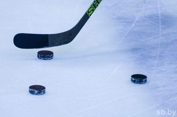 ´Динамо-Шинник´ уступил московским динамовцам в стартовом матче хоккейного турнира в Туле.