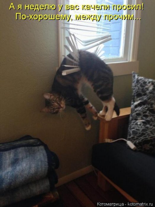 Прикольные котоматрицы