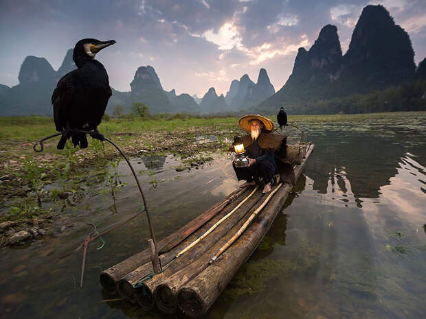 national-geographic-photo-of-the-day-internet-favorites-2015__880